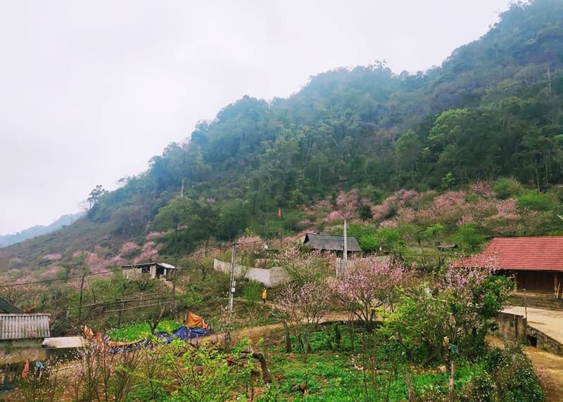 bản lóng luông mộc châu