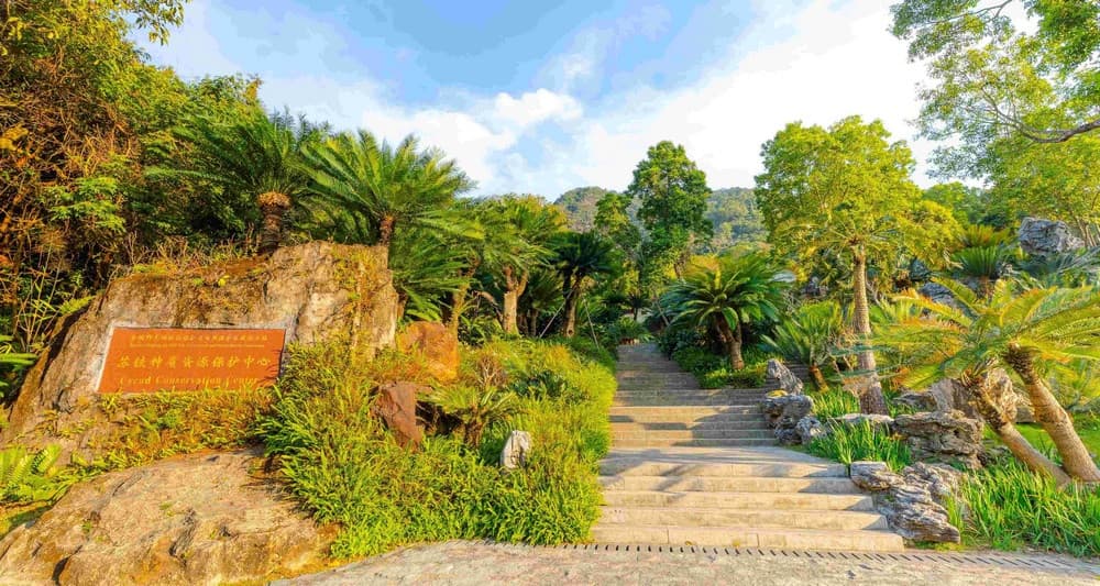 tham quan vườn bách thảo hồ tiên