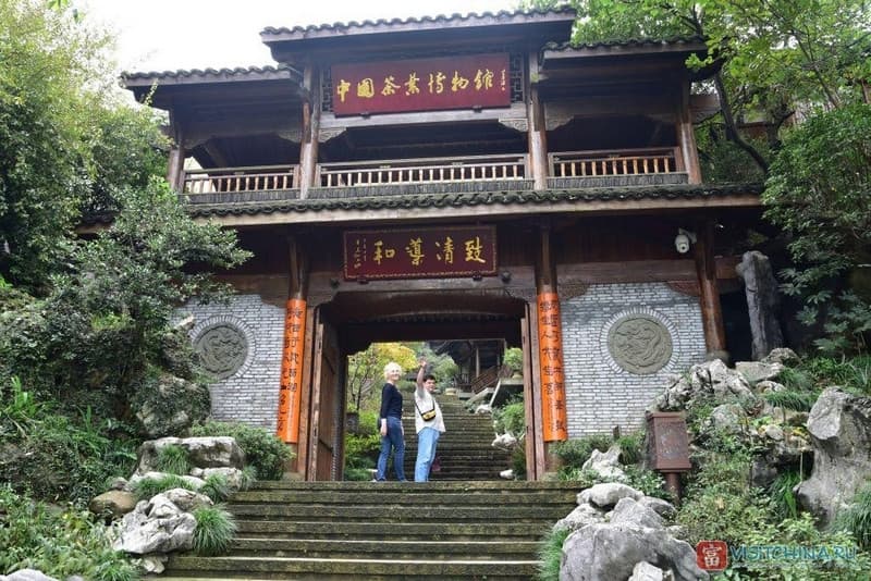 bảo tàng trà trung quốc