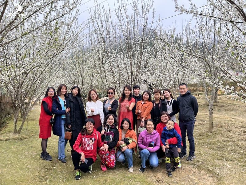 Du lịch Bắc Hà mùa xuân PYS Travel