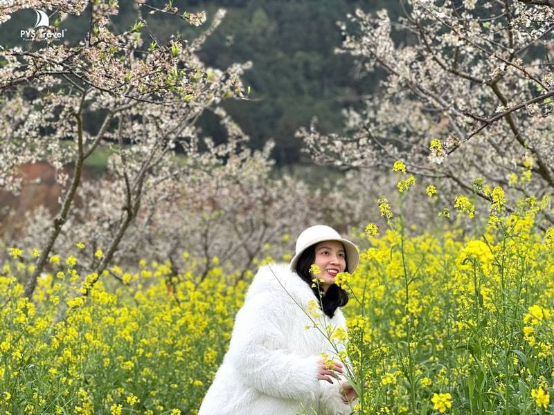 Du lịch Bắc Hà mùa xuân