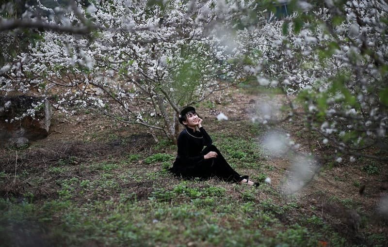 Du lịch Cao Bằng mùa xuân