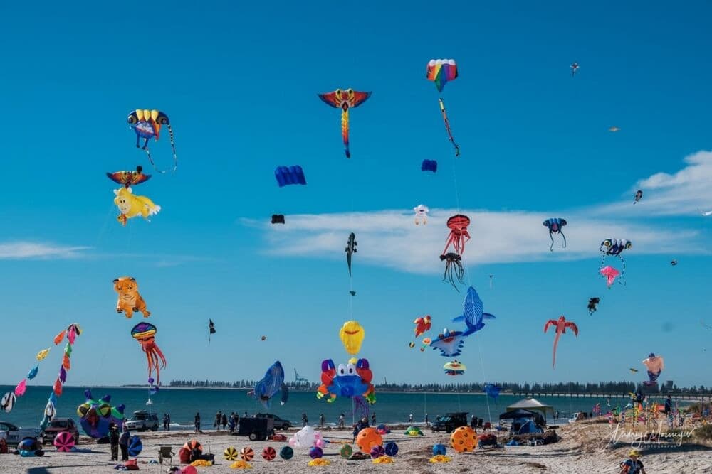 Lễ hội của gió tại bãi biển Bondi