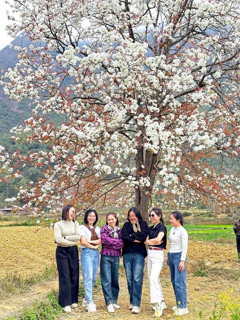 Du lịch mùa hoa Cao Bằng phù hợp với những ai