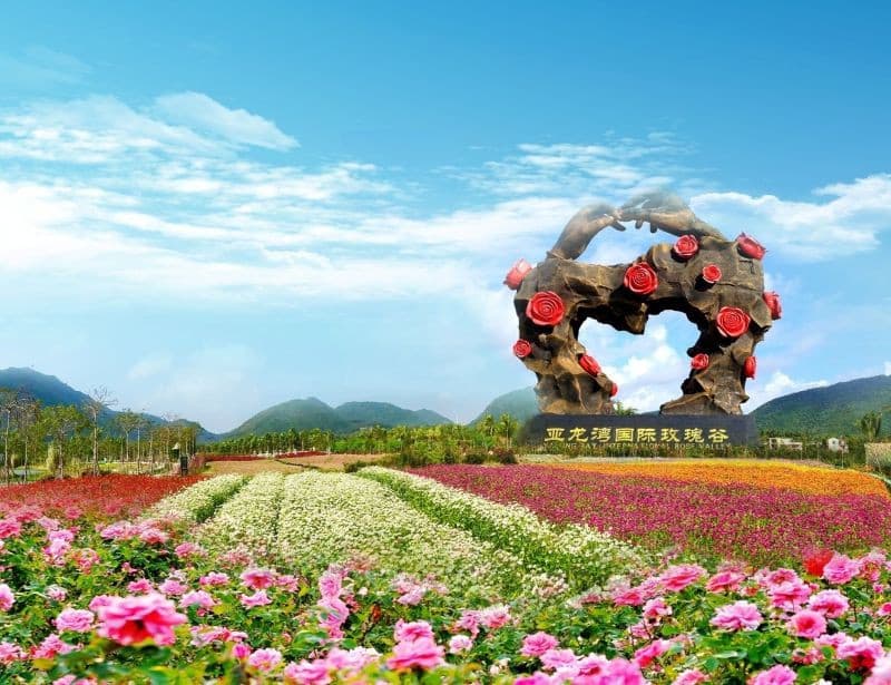 thung lũng hoa hồng