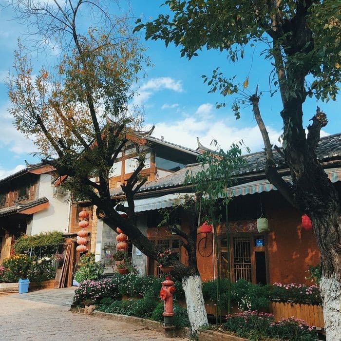 lệ-giang8 (Copy).jpg