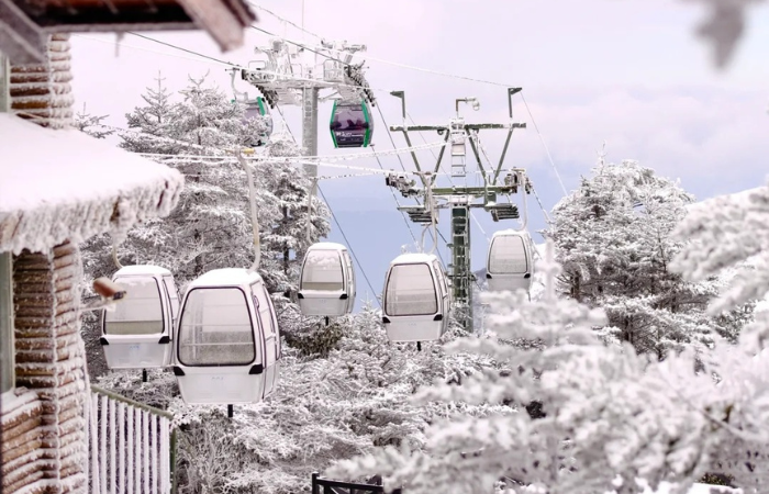 Núi Tuyết Kiệu Tử Côn Minh