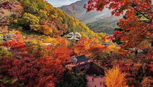 Du lịch Hàn Quốc mùa thu - Hành trình chạm vào giấc mơ lá đỏ, nơi cảm xúc và cảnh sắc hòa làm một
