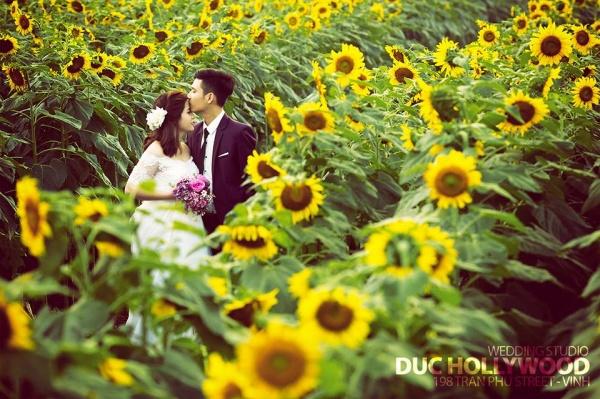 Ảnh du lịch