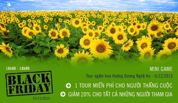 Ảnh du lịch