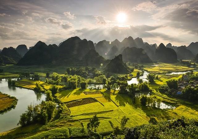 Mùa vàng đẹp sững sờ bên thác Bản Giốc