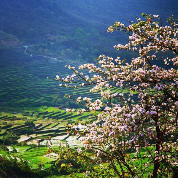 Ảnh du lịch