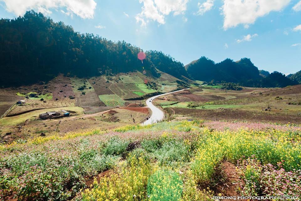 Thời điểm lý tưởng đi Cung đường chữ S Mộc Châu