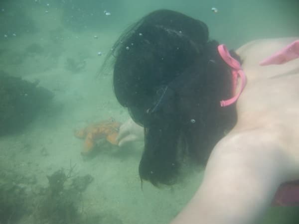 Lặn ngắm san hô