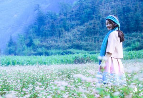 Du lịch Hà Giang: 4 thời điểm được dân tình săn đón nhiều nhất. Nhanh chân kẻo lỡ!