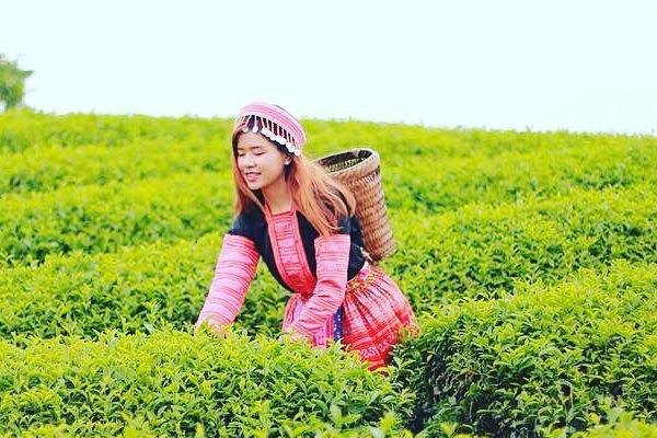 Ảnh du lịch