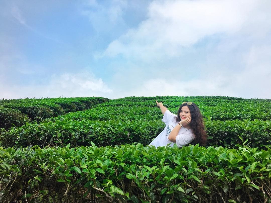 Đi đâu thì đi, nhất định phải đến ốc đảo chè Thanh Chương một lần trong đời