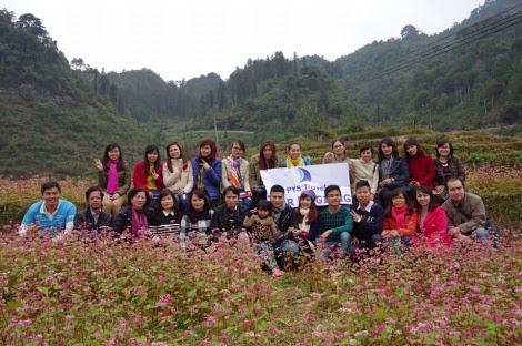 hoa tam giác mạch hà giang