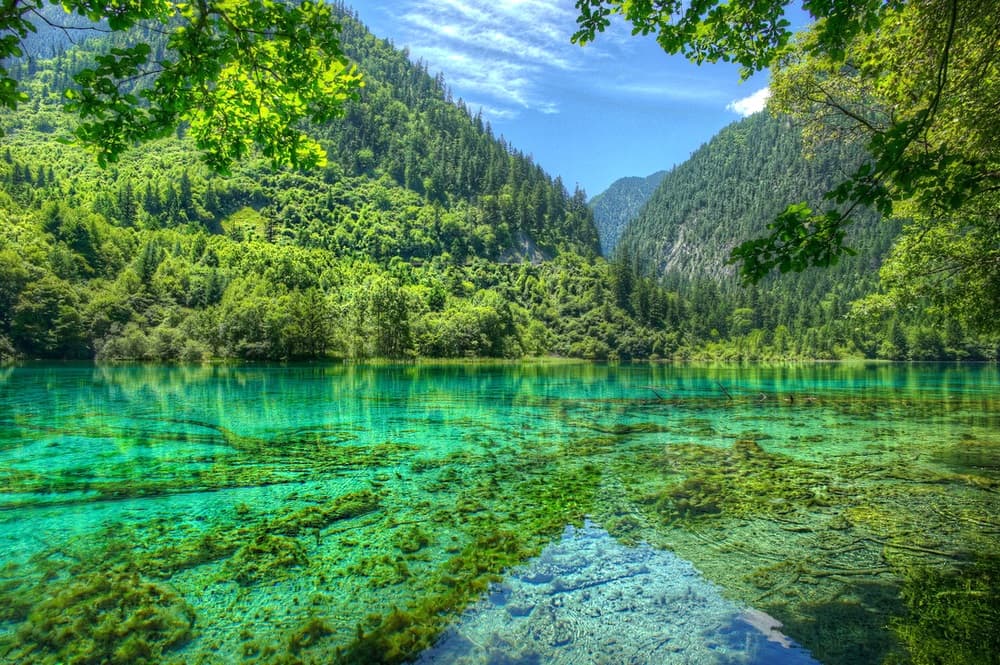 Tour-cuu-trai-cau-PYSTravel26.jpg