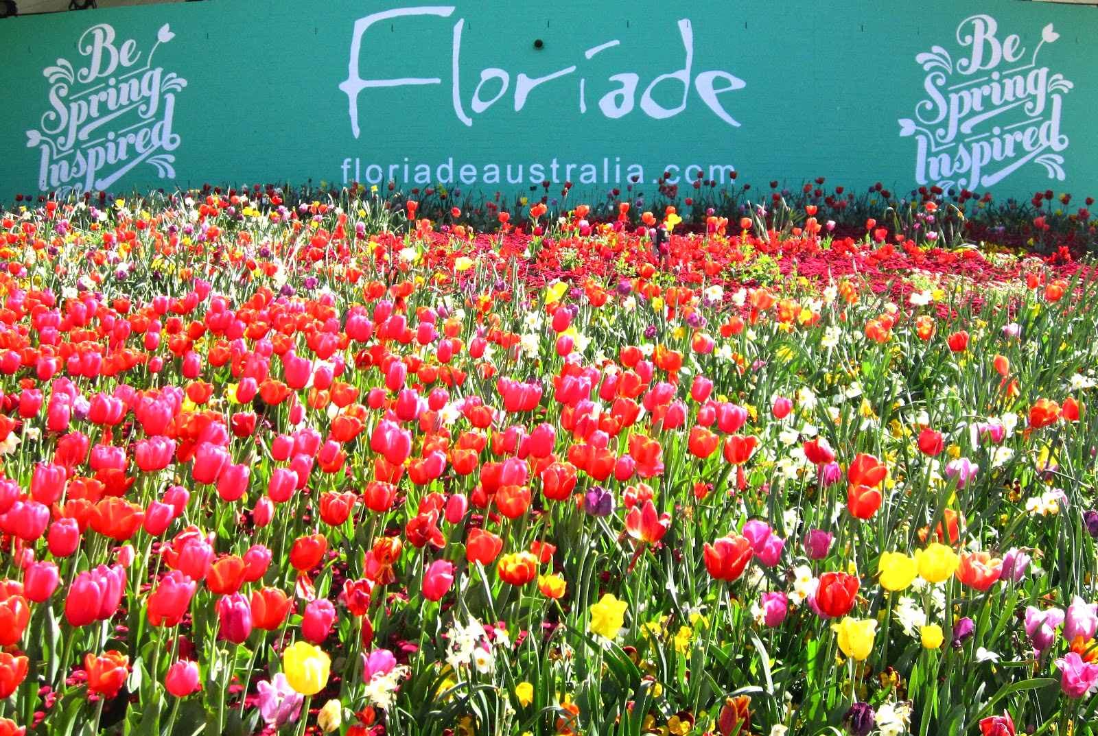 lễ hội hoa Floriade tou-uc-10.jpg