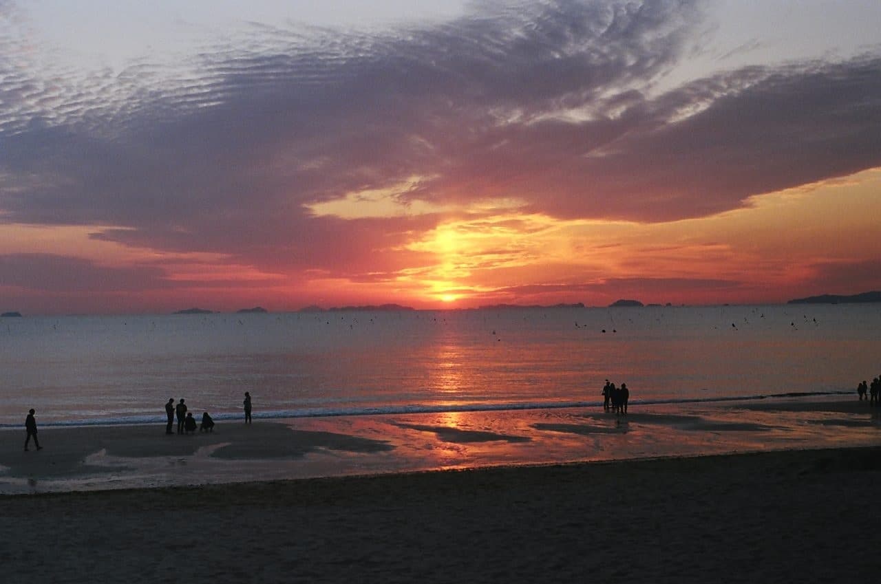 Biển daecheon bien_daecheon_pystravel.jpg