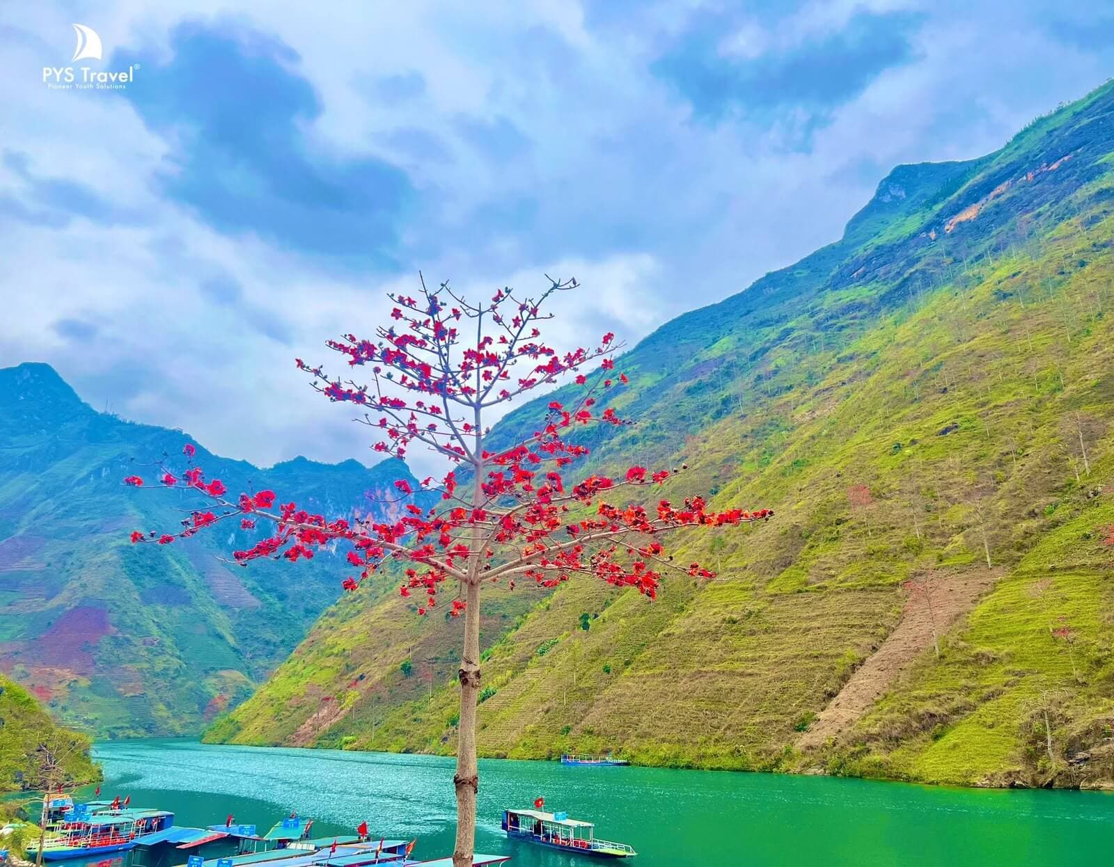 Sông Nho Quế Hà Giang Sông Nho Quế Hà Giang xanh ngọc