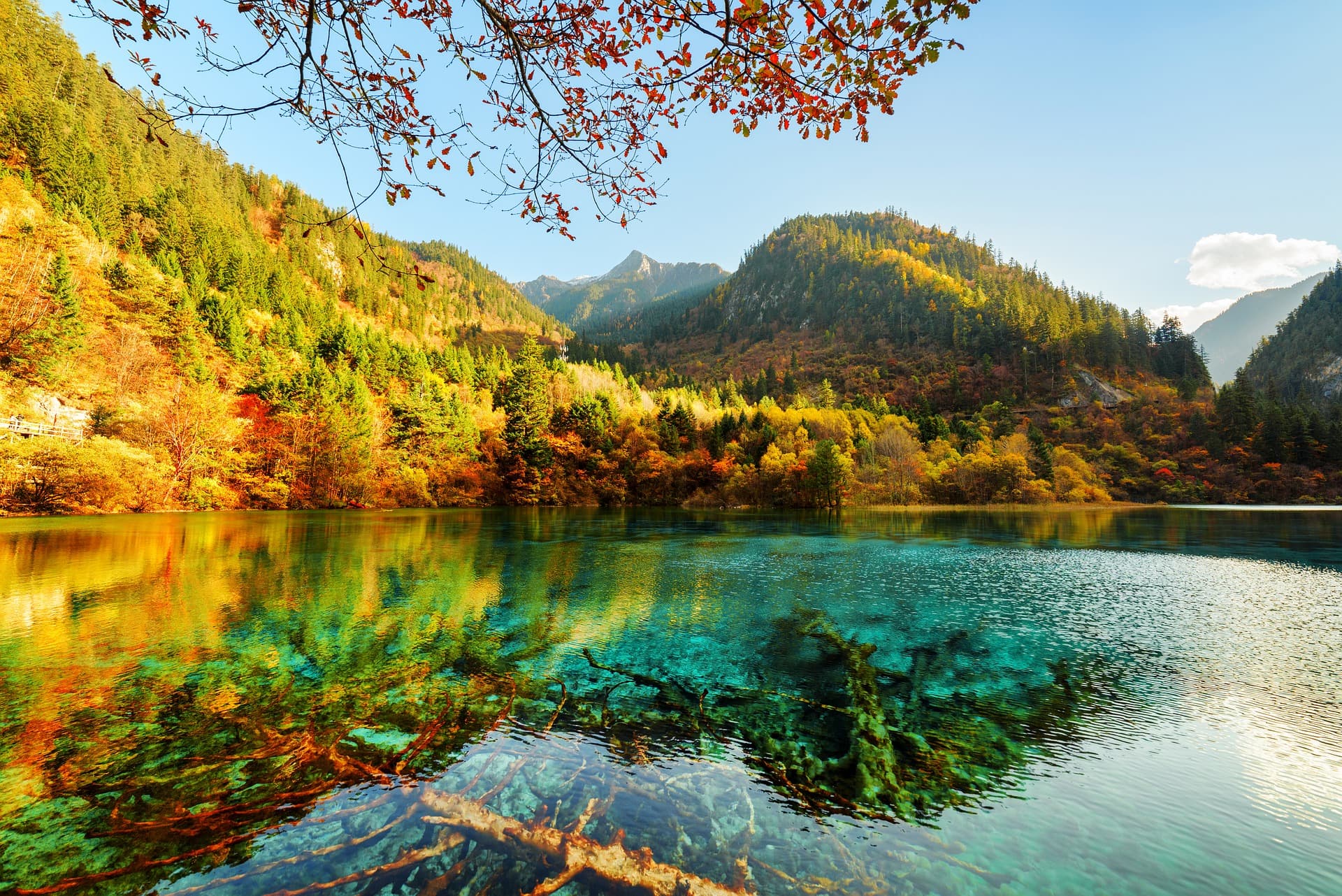 jiuzhai-valley-national-park-8191169_1920.jpg