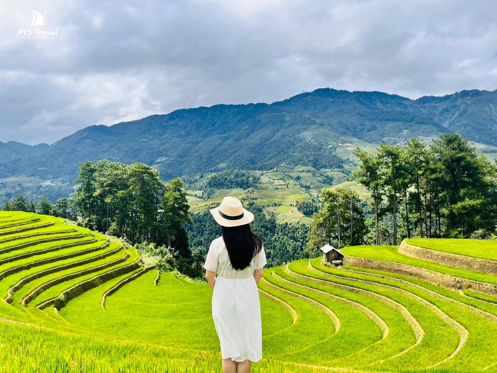 Đồi mâm xôi Mù Cang Chải Du khách chụp ảnh check-in giữa khung cảnh ruộng bậc thang Mù Cang Chải
