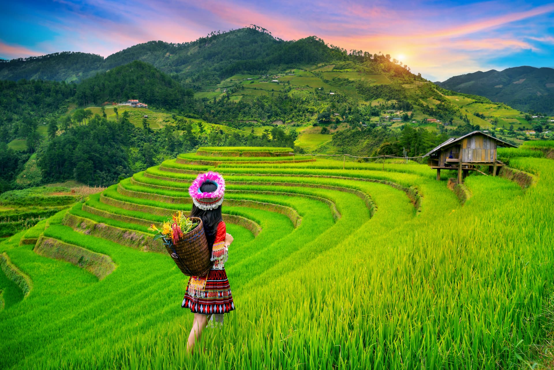 Mùa Cang Chải mùa lúa xanh Cô gái check-in tại Ruộng bậc thang Hoàng Su Phì