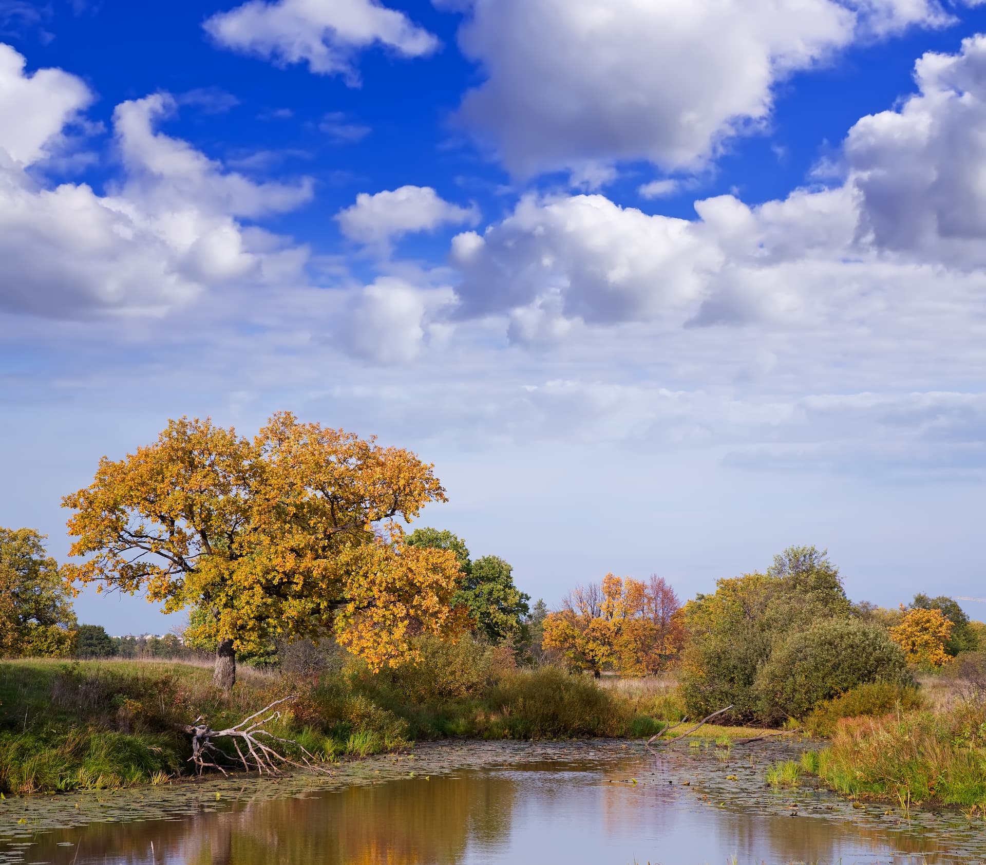 autumn-landscape-with-river.jpg