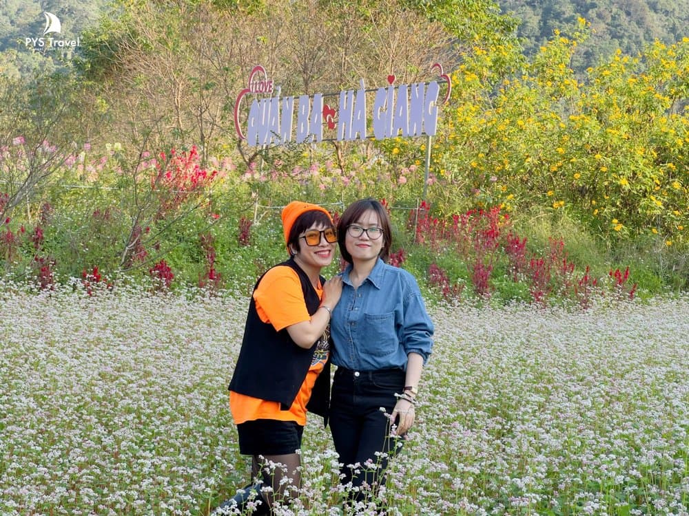 mùa hoa tam giác mạch hà giang hoa-tam-giac-mach-pystravel-4.jpg