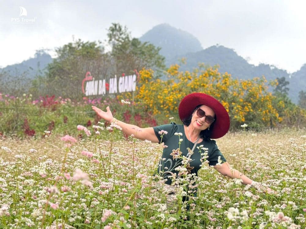hoa tam giác mạch tại quản bạ hà giang hoa-tam-giac-mach-pystravel-1.jpg