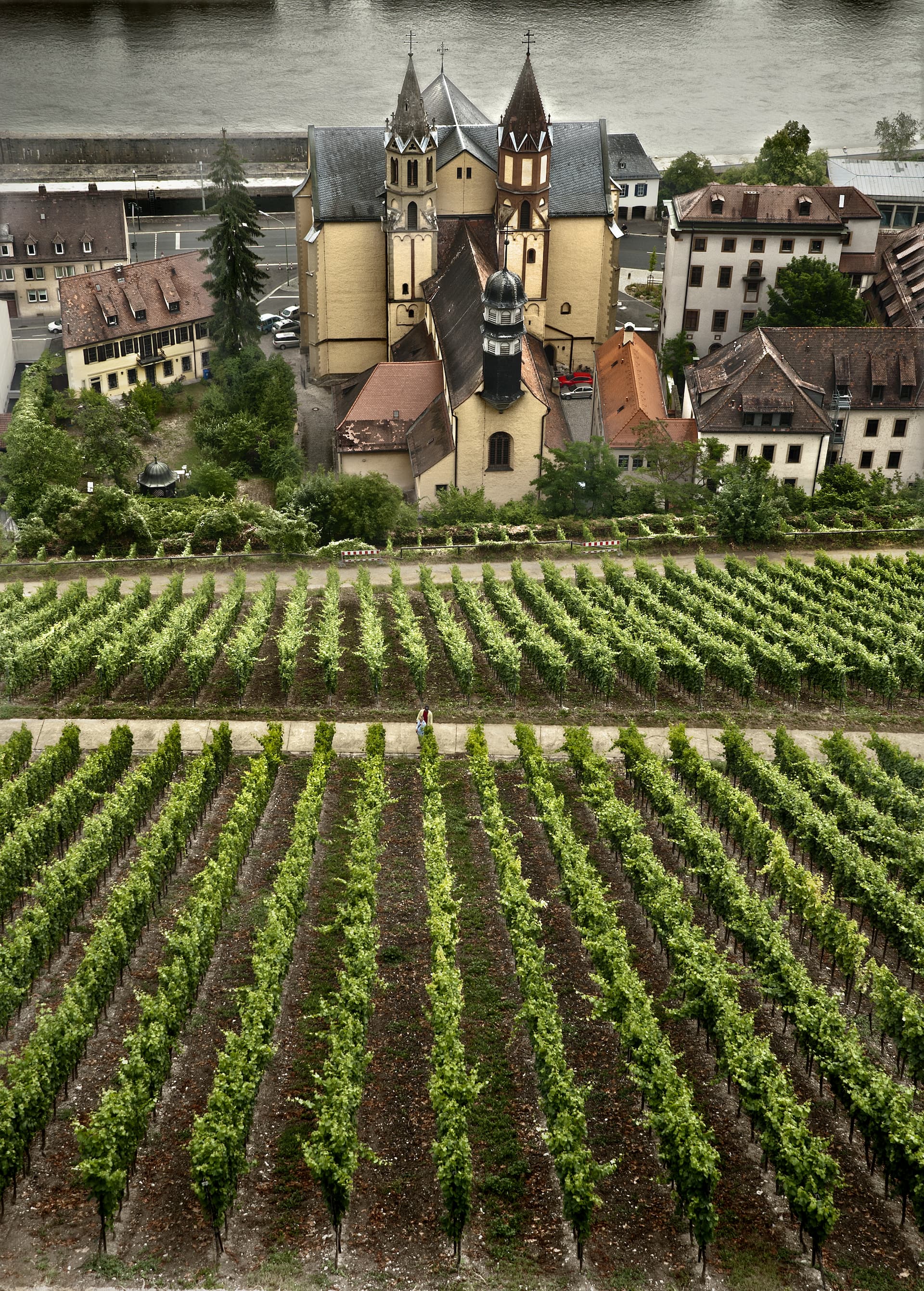 autumn-scene-around-bavarian-town-wurzburg-germany.jpg
