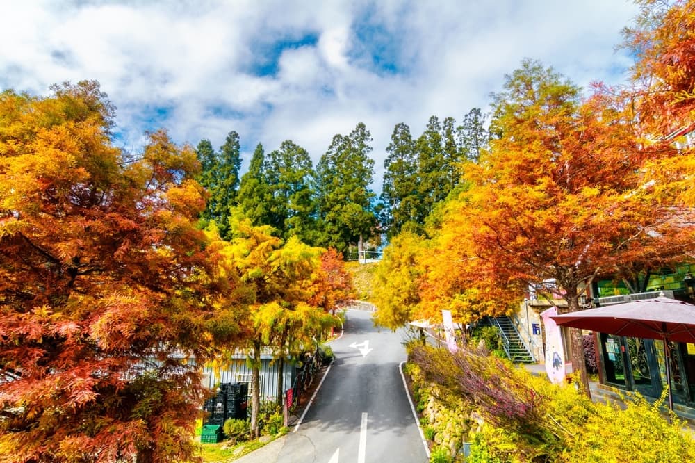 Tour-Dai-Loan-PYSTravel25.jpg