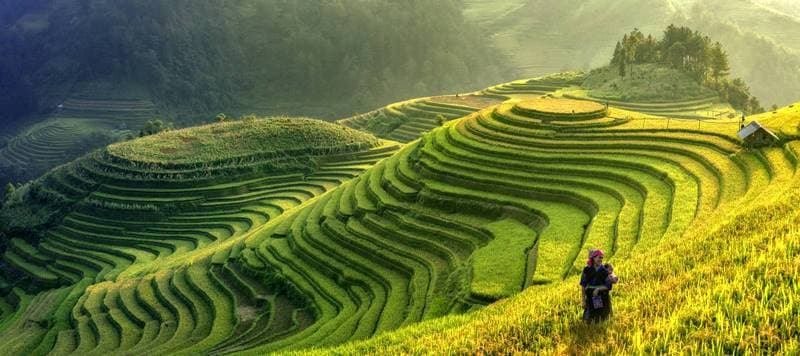 Ruộng bậc thang La Pán Tẩn Ruộng bậc thang La Pán Tẩn tháng 8