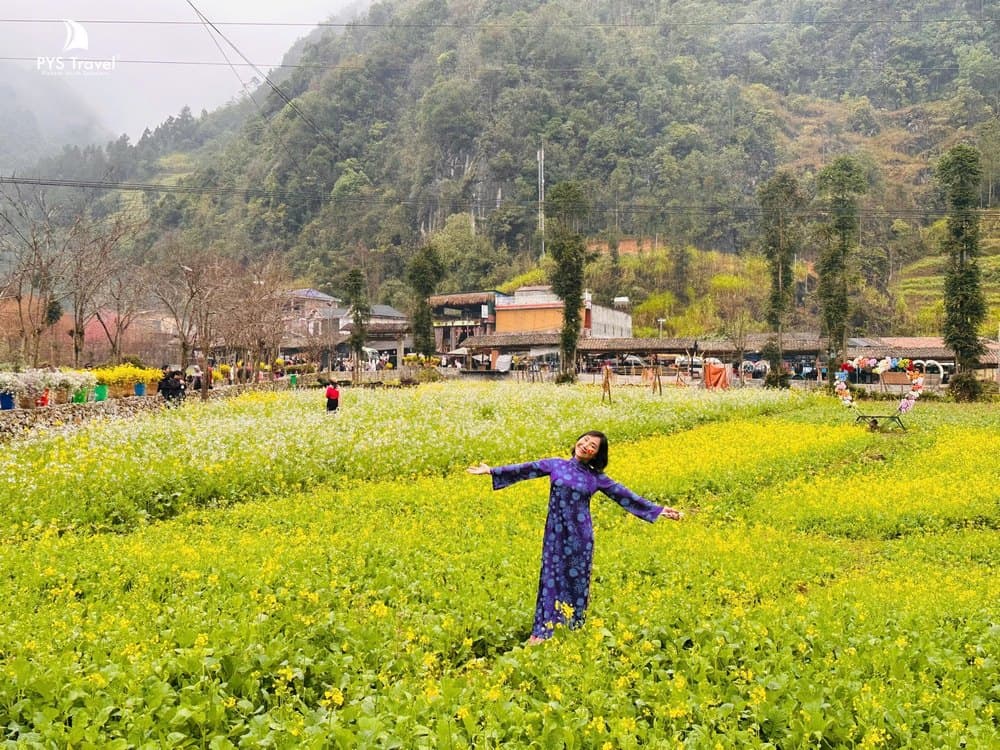Khu vực vườn hoa cải Hà Giang Hoa cải Hà Giang tháng 12