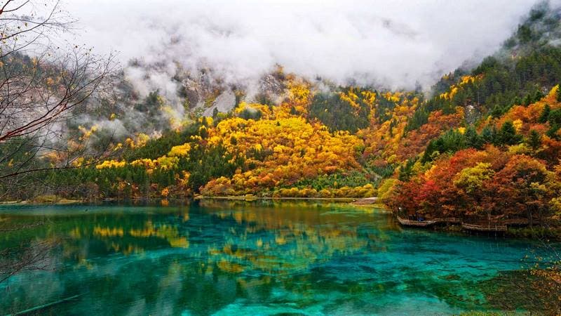 Cửu Trại Câu Cửu Trại Câu mùa thu vàng