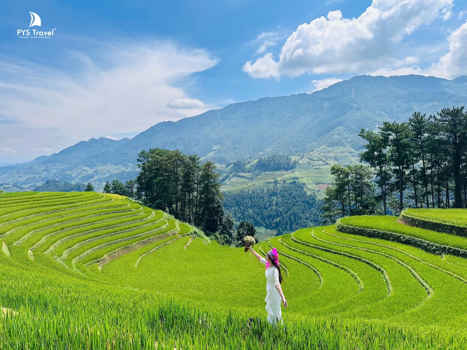 Lúa ở Mù Cang Chải Lúa tại đồi Móng Ngựa Mù Cang Chải ngày 12/09/2026