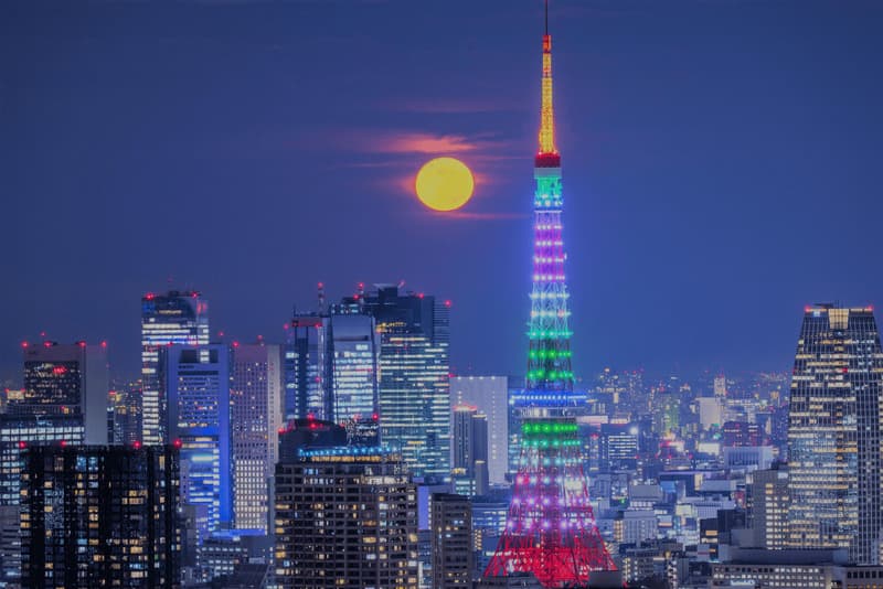 tsukimi-10-1708163589.jpg