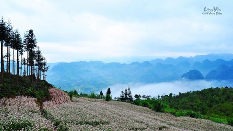lang-yen-duoi-vuc-sau-2.jpg