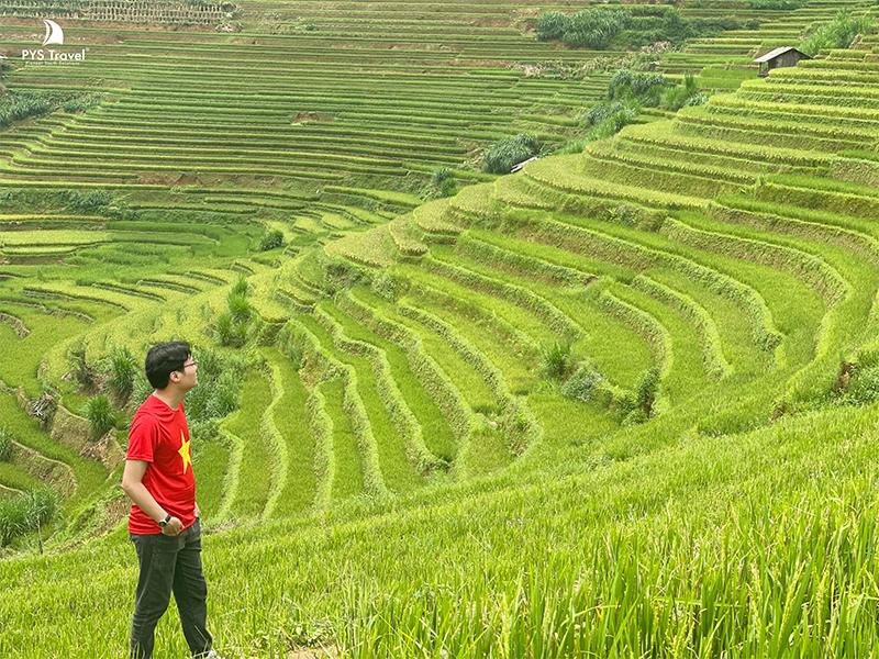 Lúa Mù Cang Chải Lúa Mù Cang Chải ngày 27/09/2026