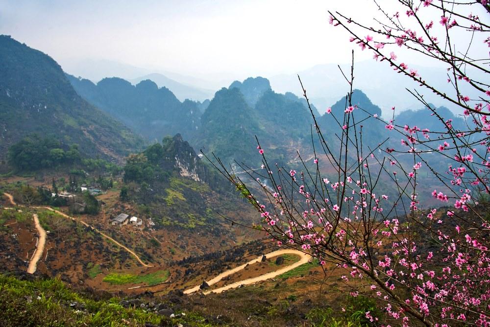 sắc đào nở rộ trên hà giang ha-giang-nen-di-mua-nao-21.jpg