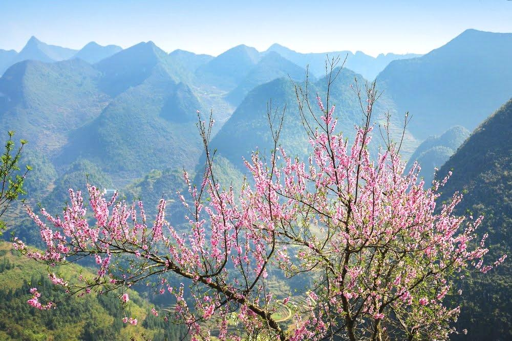 hà giang mùa xuân ha-giang-nen-di-mua-nao-19.jpg