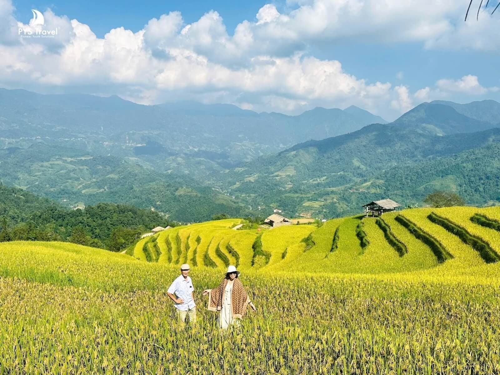 Biển lúa Hoàng Su Phì mỗi mùa thu về