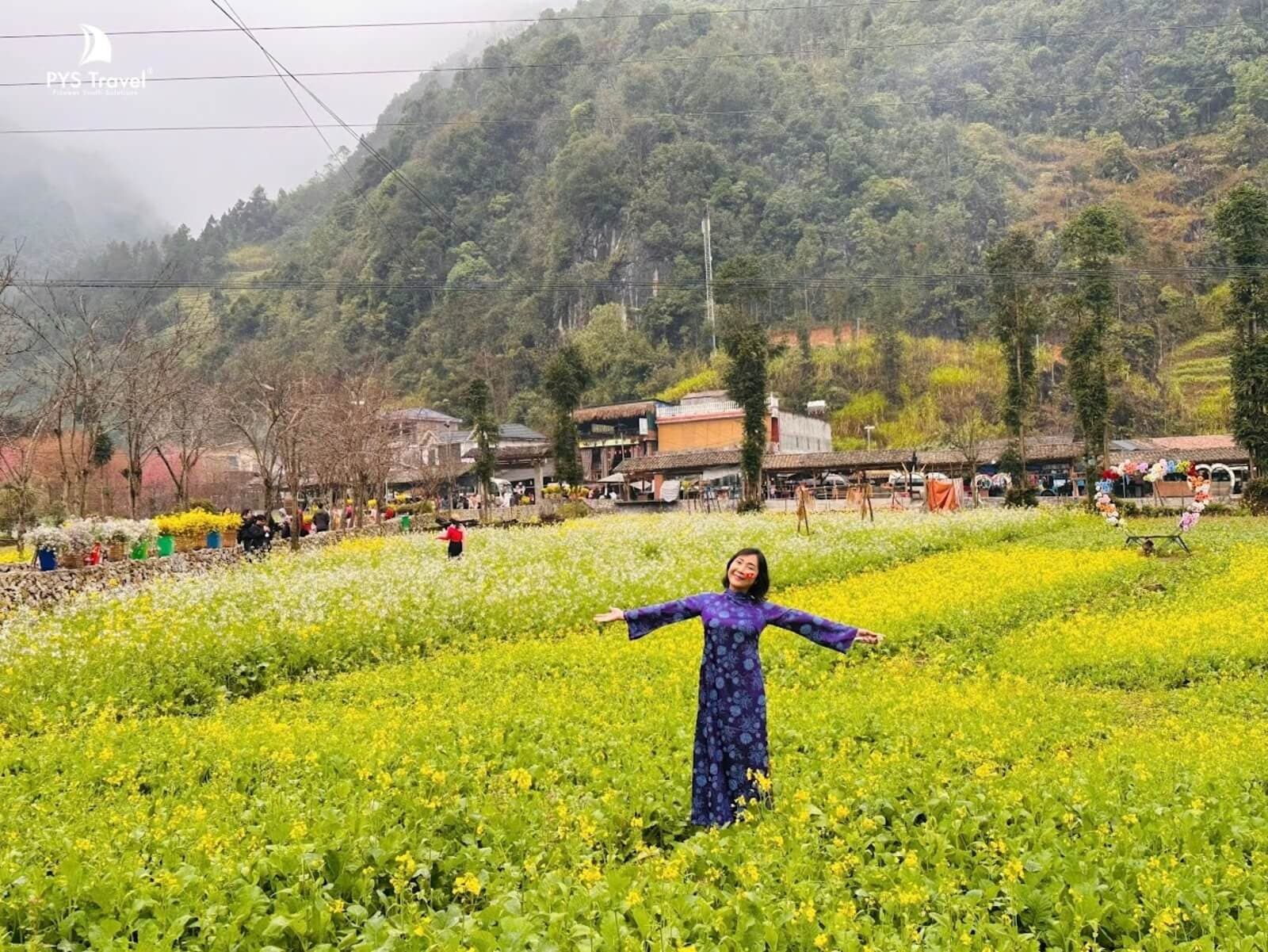 Mùa tam giác mạch Hà Giang