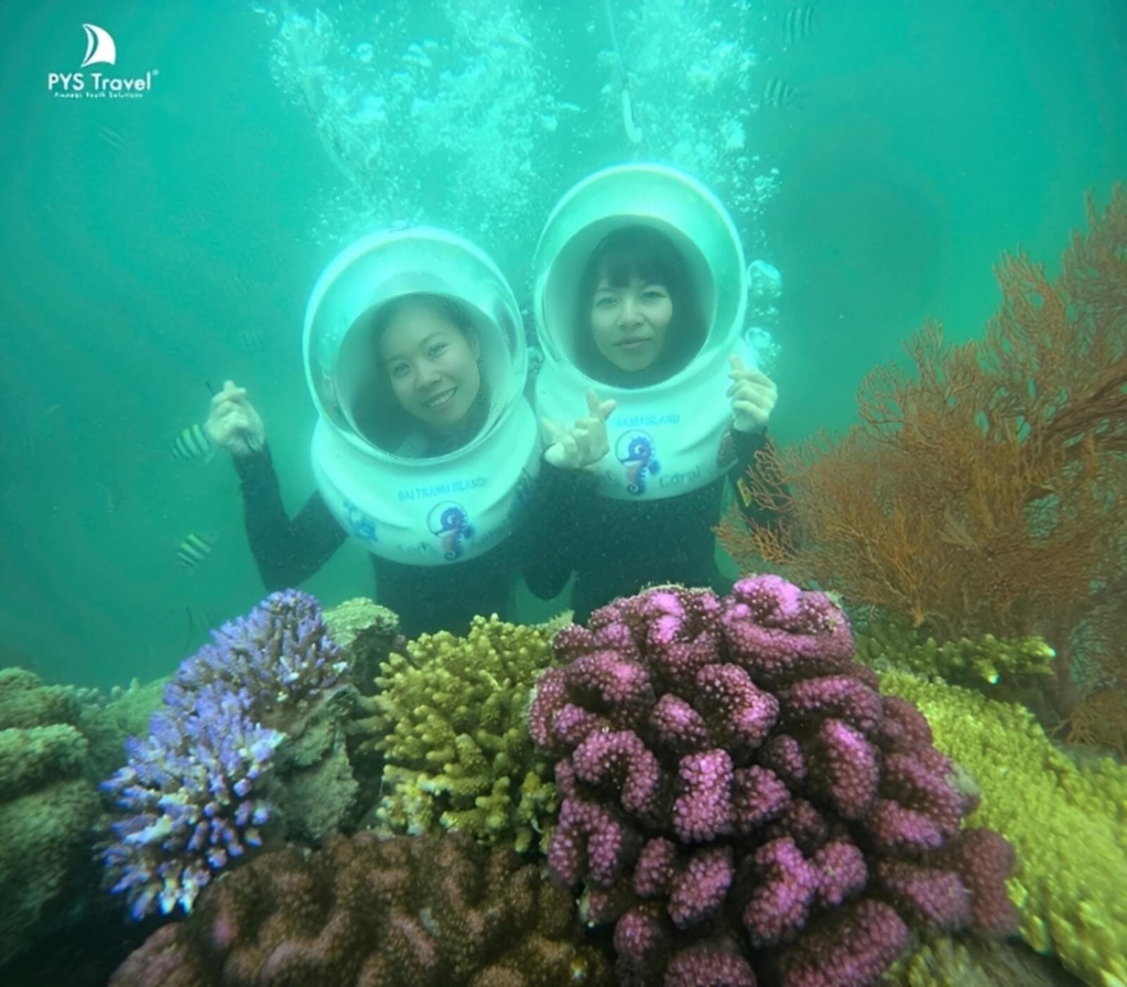 Đến Nha Trang nhất định phải ngắm san hô