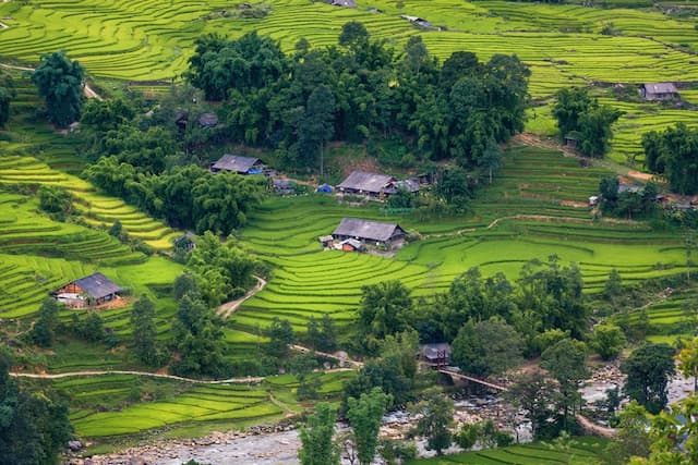 Du lịch Sapa tháng 8 có gì đẹp? 10 trải nghiệm không thể bỏ lỡ mùa xanh Tây Bắc