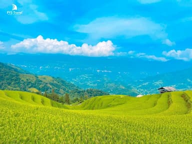 Du lịch Hà Giang tháng 8: Thời tiết, điểm đến đẹp và kinh nghiệm hữu ích 2026
