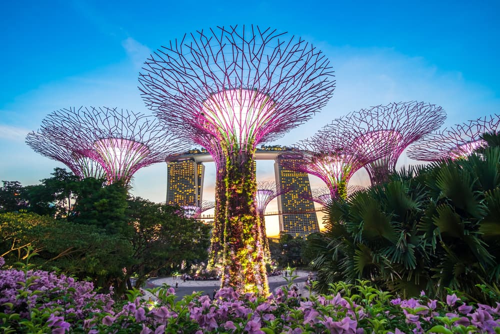 Gardens by the Bay