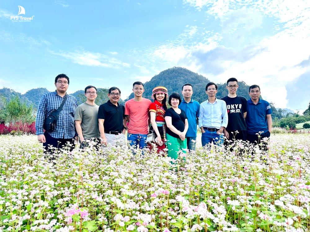 Em nhất định phải đến Hà Giang để ngắm hoa tam giác mạch nở rộ khắp trời!